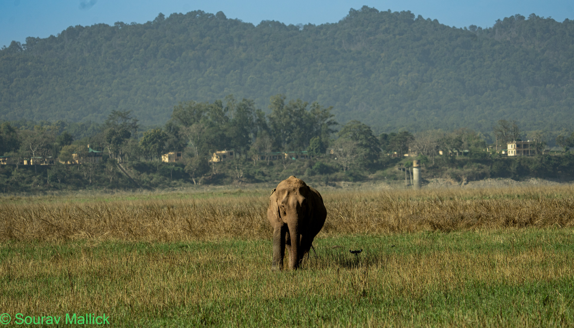 Dhela Zone